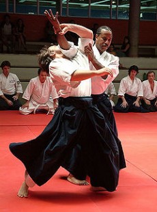 l-institut-du-judo-a-paris-fete-l-aikido-les-23-24-juin-2012-61211